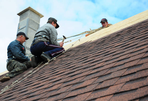 Professional Roofing Contractor in Cambridge, WI