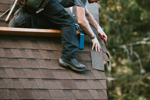 Best Roof Gutter Cleaning  in Cambridge, WI