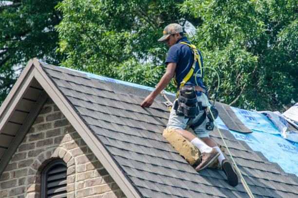 Best Roof Leak Repair  in Cambridge, WI